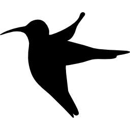 kolibrie icoon