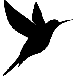 koliber ikona