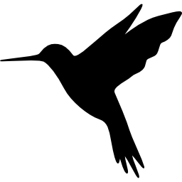 colibrí icono