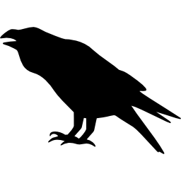 Raven icon