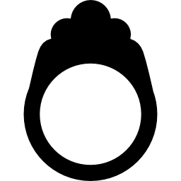 Wedding Ring icon