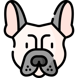 bulldog francês Ícone