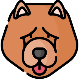 chow chow icon