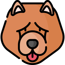 Chow Chow icon
