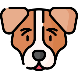 Jack Russell Terrier icon