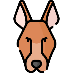 pharaoh hound Ícone