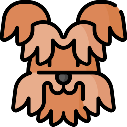 yorkshire terrier Icône
