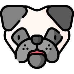 Pug icon