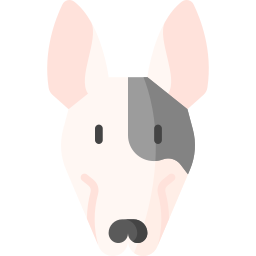 bull terrier icona