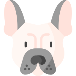 bulldog français Icône