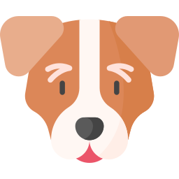 jack russell terrier icoon