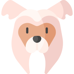 Chinese Crested icon