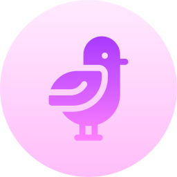 Chick icon