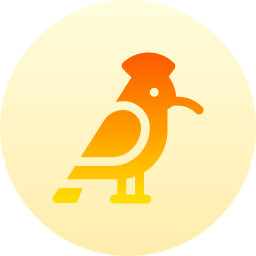 dudek ptak ikona