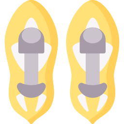 Snowshoes icon