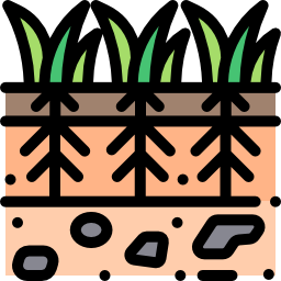 植物 icon