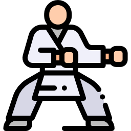 karate icon