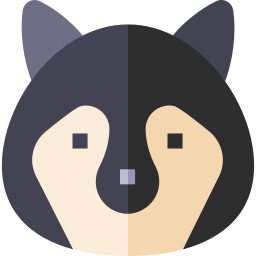 raccoon icon
