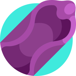 Vibrator icon