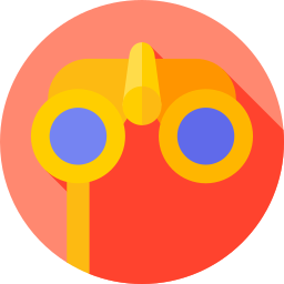 Binoculars icon