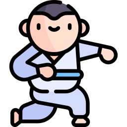 judo icoon