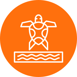 바다 거북 icon