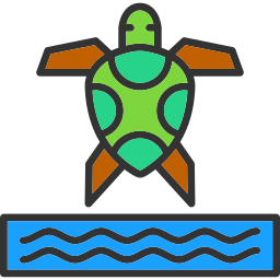 tartaruga marinha Ícone