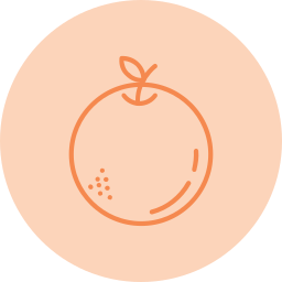 Orange icon