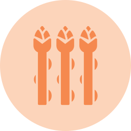 Asparagus icon