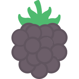 ブラックベリー icon