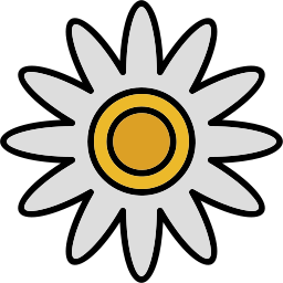 Daisy icon