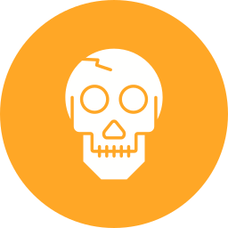 Skull icon