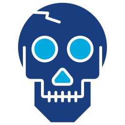 Skull icon