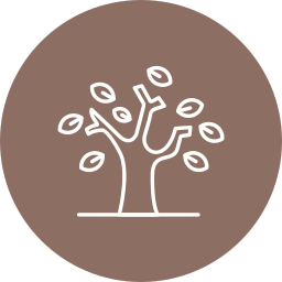 Dry Tree icon