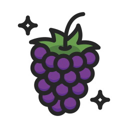 Blackberry icon