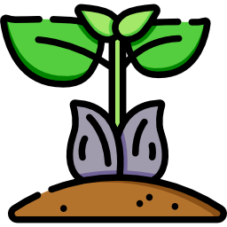 Sprout icon