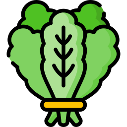 Spinach icon