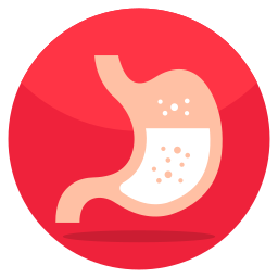 Stomach icon