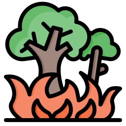 Burning Tree icon