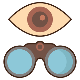 Vision icon