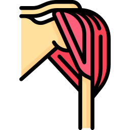 삼각근 icon