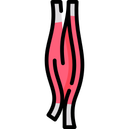 bicipite brachiale icona