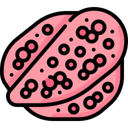 Muscle cross section sarcopenic icon