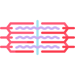 Sarcomere contracted icon