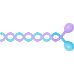 Myosin filament icon