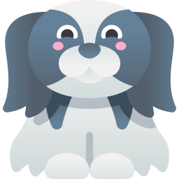 Japanese Chin icon