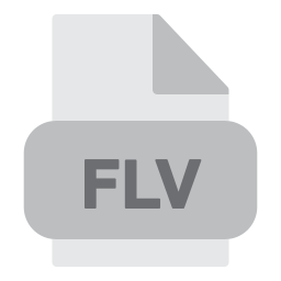 flv 파일 icon