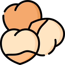병아리 콩 icon