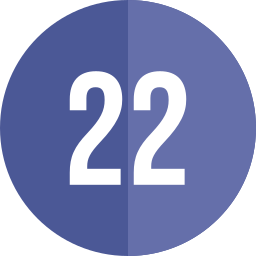 22 icon