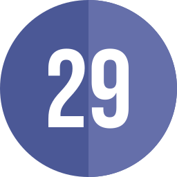 29 icona
